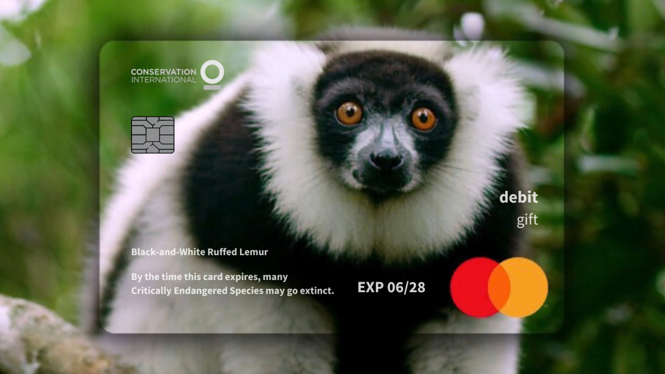 Mastercard-Wildlife-Impact-Card-Talkoo-news