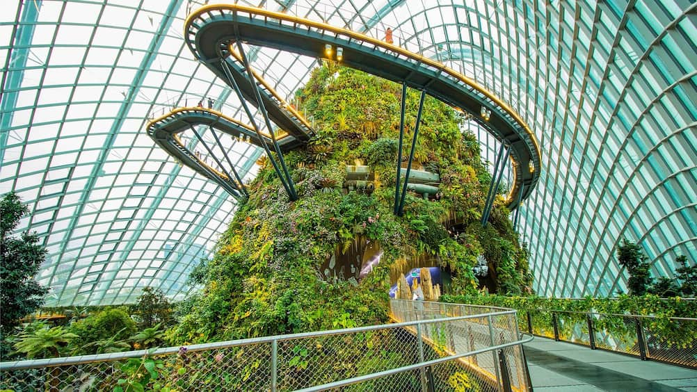 SDGs-15-Cloud-Forest-Flower-Dome-Singapore-Talkoo