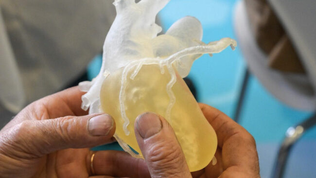 Stampante-3D-in-ambito-medico-Talkoo-news